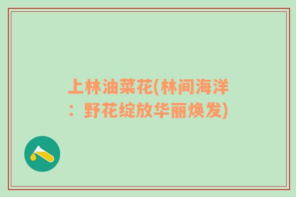 上林油菜花(林間海洋：野花綻放華麗煥發(fā))