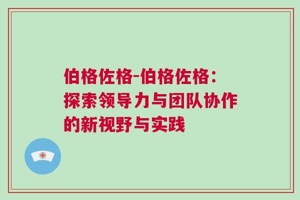 伯格佐格-伯格佐格：探索領(lǐng)導力與團隊協(xié)作的新視野與實踐