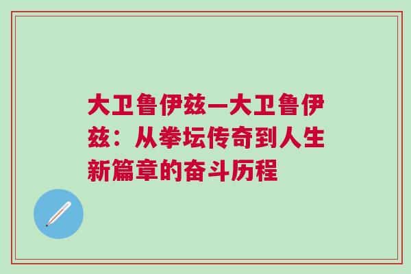 大衛(wèi)魯伊茲—大衛(wèi)魯伊茲：從拳壇傳奇到人生新篇章的奮斗歷程