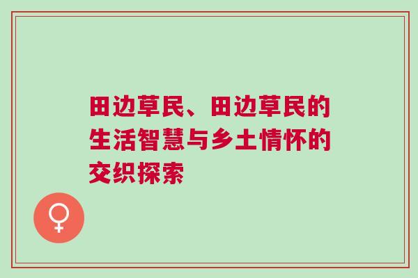 田邊草民、田邊草民的生活智慧與鄉(xiāng)土情懷的交織探索