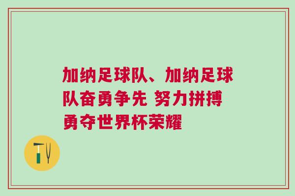 加納足球隊、加納足球隊奮勇爭先 努力拼搏勇奪世界杯榮耀