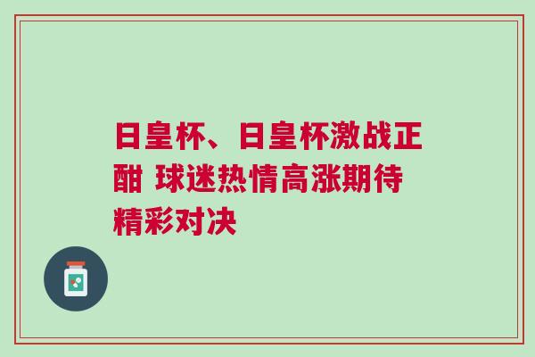 日皇杯、日皇杯激戰(zhàn)正酣 球迷熱情高漲期待精彩對(duì)決
