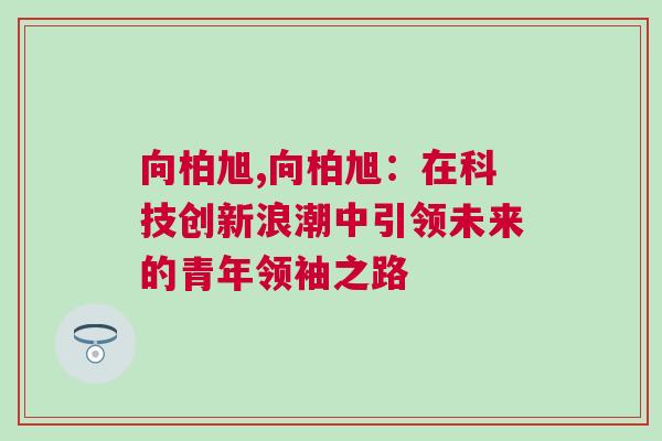 向柏旭,向柏旭：在科技創(chuàng)新浪潮中引領(lǐng)未來的青年領(lǐng)袖之路