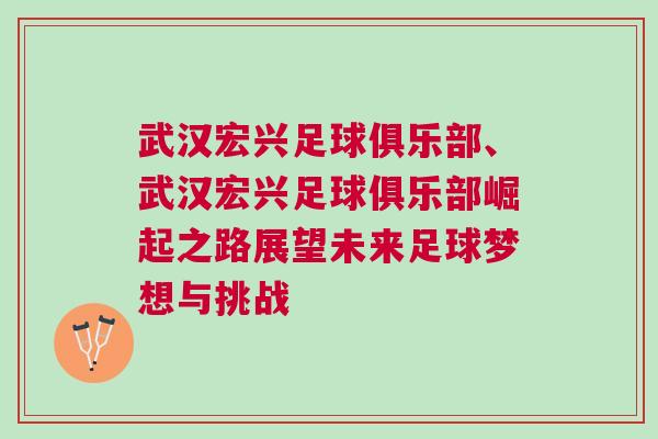 武漢宏興足球俱樂部、武漢宏興足球俱樂部崛起之路展望未來足球夢想與挑戰(zhàn)