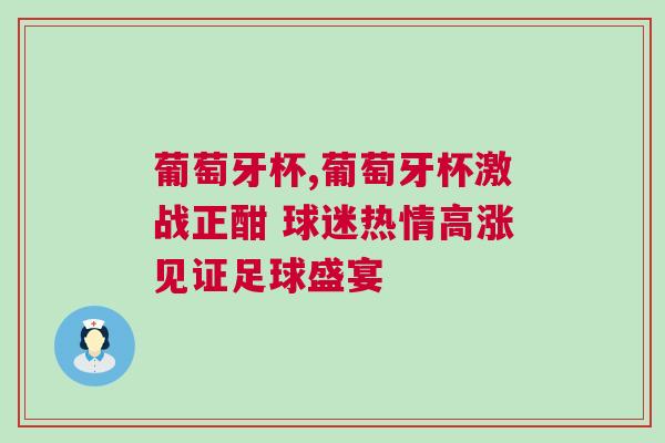 葡萄牙杯,葡萄牙杯激戰(zhàn)正酣 球迷熱情高漲見證足球盛宴