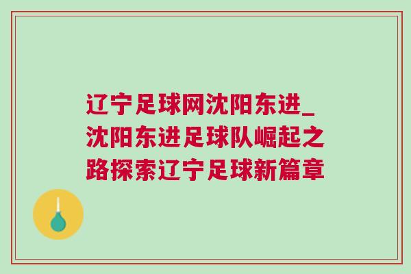 遼寧足球網(wǎng)沈陽東進_沈陽東進足球隊崛起之路探索遼寧足球新篇章