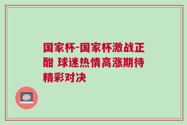 國(guó)家杯-國(guó)家杯激戰(zhàn)正酣 球迷熱情高漲期待精彩對(duì)決