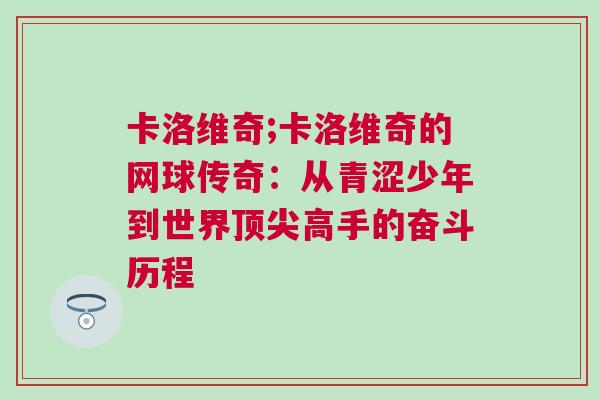 卡洛維奇;卡洛維奇的網(wǎng)球傳奇：從青澀少年到世界頂尖高手的奮斗歷程