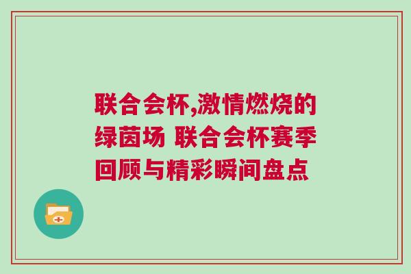 聯(lián)合會杯,激情燃燒的綠茵場 聯(lián)合會杯賽季回顧與精彩瞬間盤點