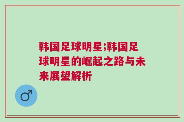 韓國(guó)足球明星;韓國(guó)足球明星的崛起之路與未來(lái)展望解析