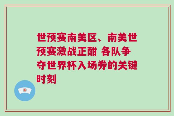 世預(yù)賽南美區(qū)、南美世預(yù)賽激戰(zhàn)正酣 各隊(duì)爭(zhēng)奪世界杯入場(chǎng)券的關(guān)鍵時(shí)刻