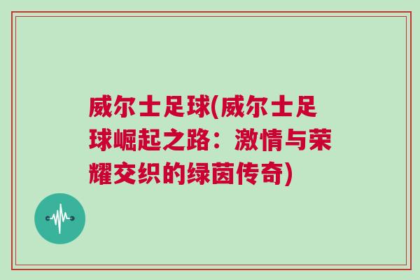 威爾士足球(威爾士足球崛起之路：激情與榮耀交織的綠茵傳奇)