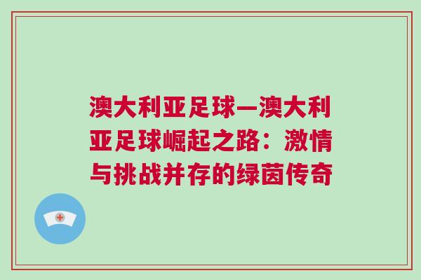 澳大利亞足球—澳大利亞足球崛起之路：激情與挑戰(zhàn)并存的綠茵傳奇