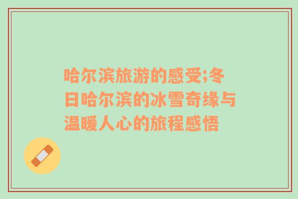 哈爾濱旅游的感受;冬日哈爾濱的冰雪奇緣與溫暖人心的旅程感悟